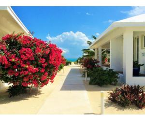 Resort/ hotel for sale in the Bahamas on San Salvador